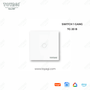 SMART SWITCH 1 GANG TG 20 B