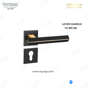 LEVER HANDLE PREMIUM TG 819 SB